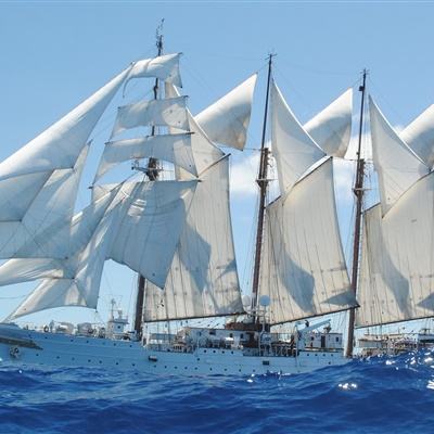 新澳门游戏网站入口下载手机版