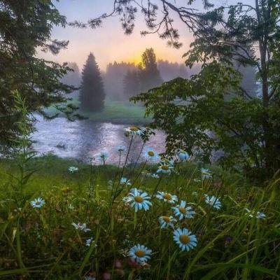 开运全站手机网页登录